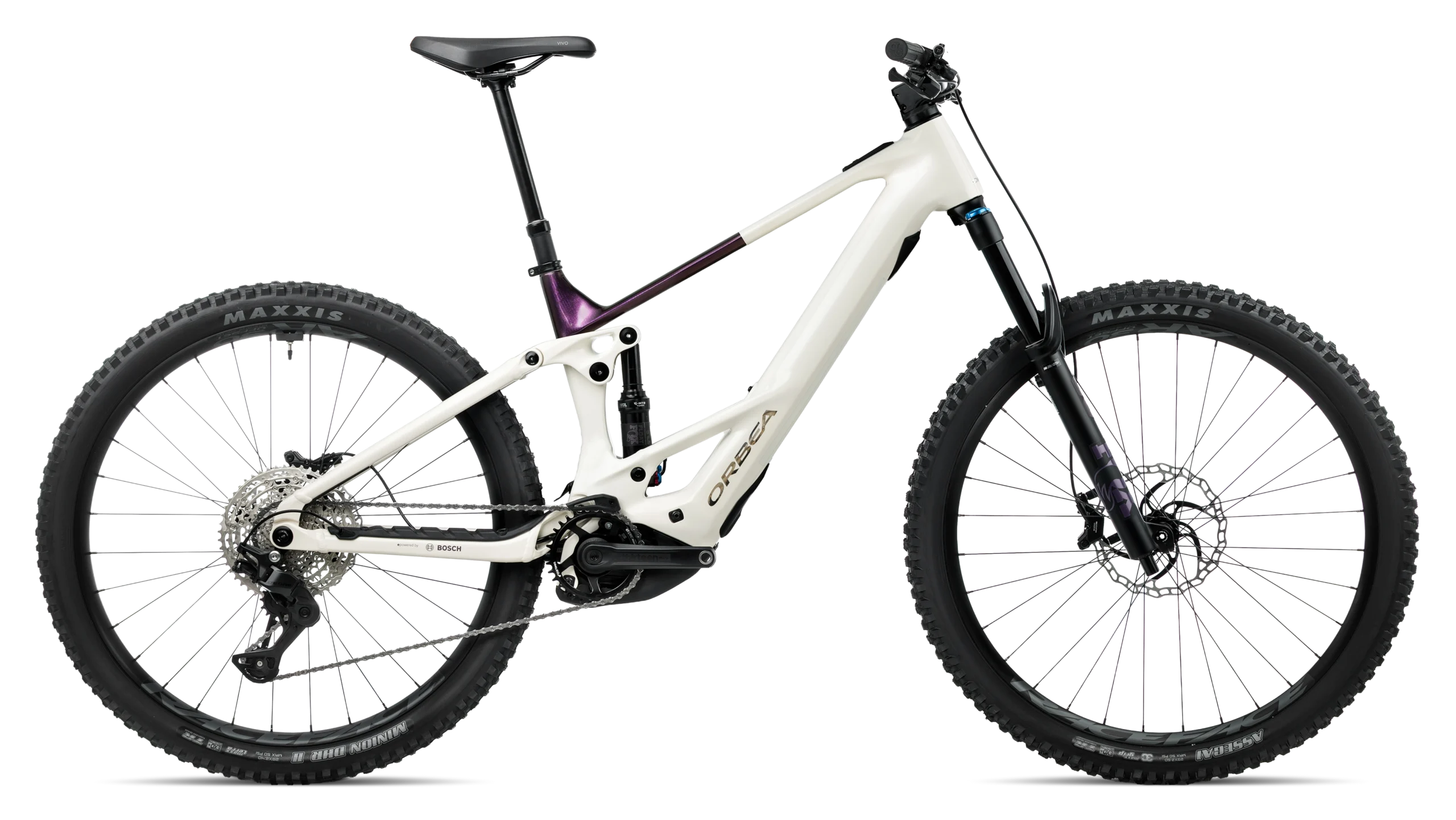 WILD TR H10